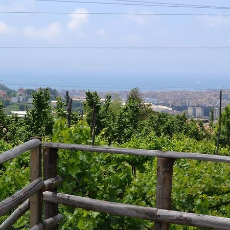 B&B Green Valley Salerno Eksteriør bilde