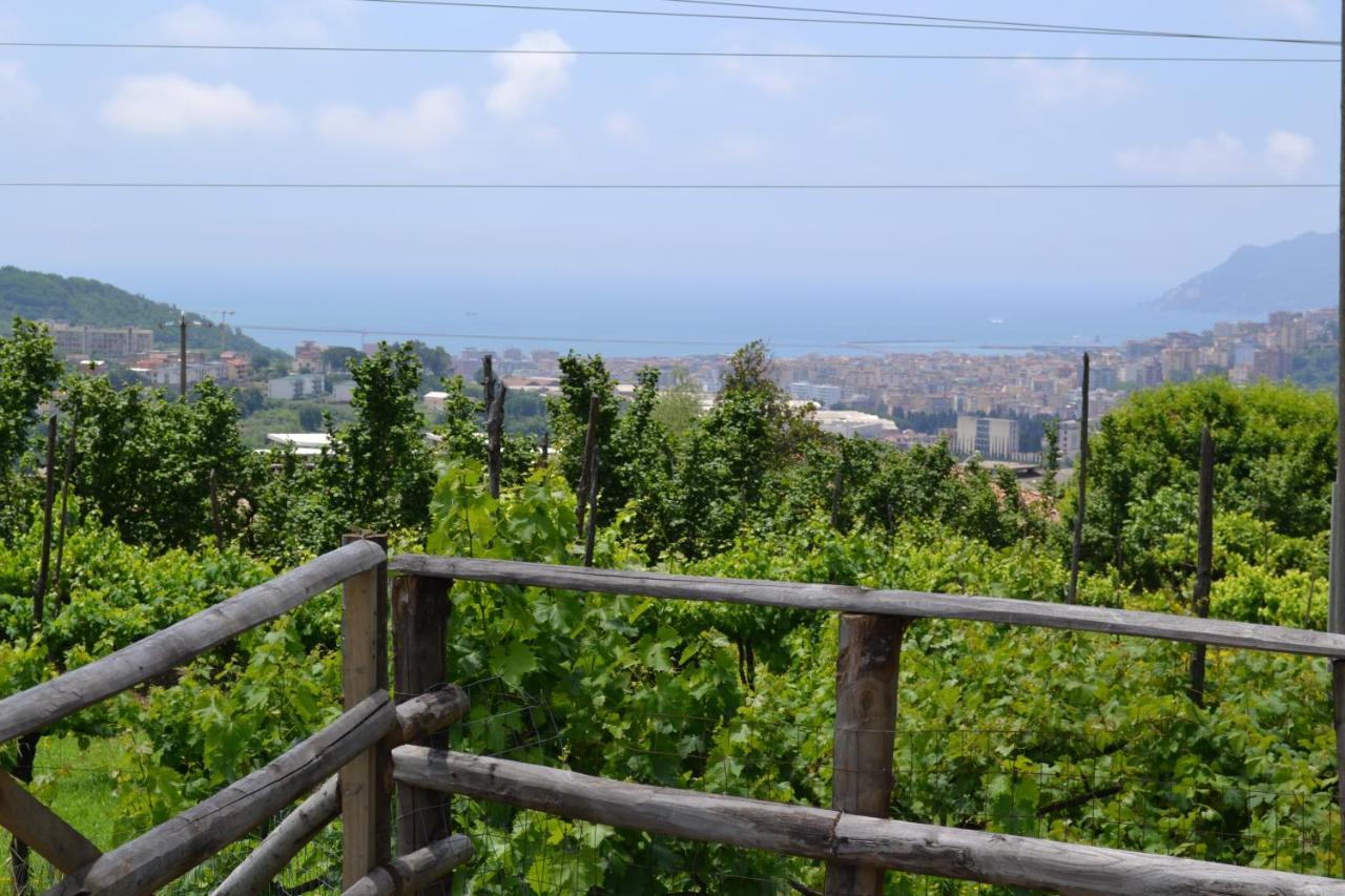 B&B Green Valley Salerno Eksteriør bilde